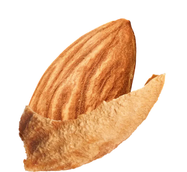 Inshell Almonds