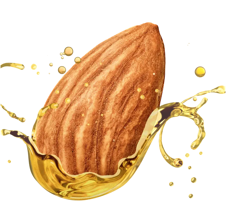 Whole Almond Dipped in Almond Oil