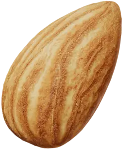 Almond Oil