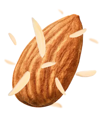 Slivered Almond