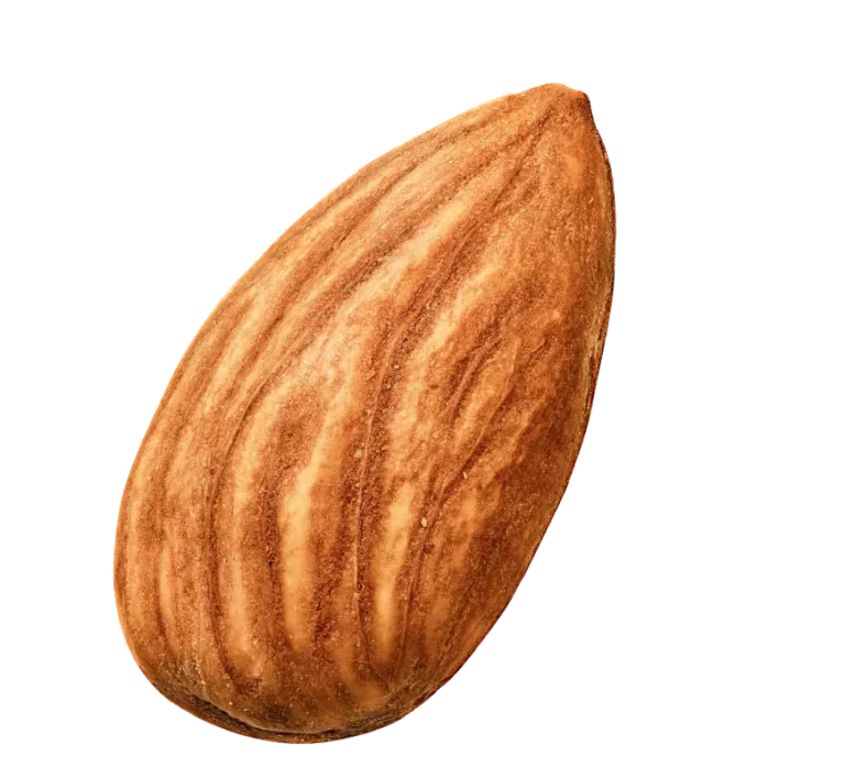 Whole Organic Almonds