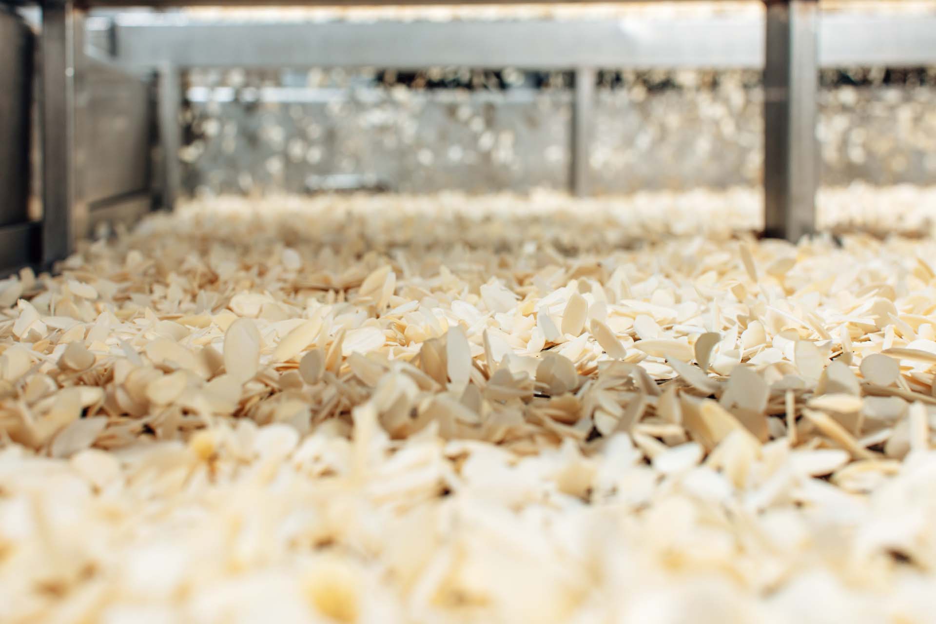 Blanched Sliced Almonds